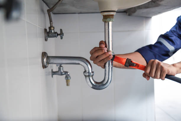 Best Garbage Disposal Repair and Installation  in Reedsburg, WI